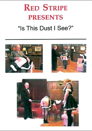 Is This Dust I See?