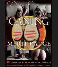 Caning Merit Badge